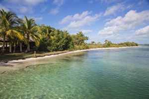Cayo Largo De Sur, Isla de la Juventud, Cuba, West Indies, Caribbean, Central America