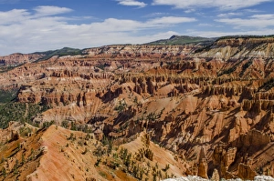 Jagged Prints: Cedar Breaks National Monument, Dixie National Forest, Utah, United States of America