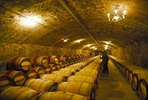 Wine Production Prints: The cellars, Chateau Lafitte Rothschild, Pauillac, Gironde, France, Europe