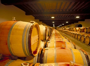 Uniformity Prints: Cellars of Chateau Lynch Bages, Pauillac, Aquitaine, France, Europe