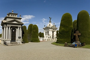 Cypress Tree Prints: Cementario Municipal, topiary cypress trees, Punta Arenas, Patagonia, Chile, South America