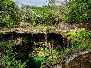 Oasis Prints: Cenote Saamal, Valladolid, Yucatan State, Mexico