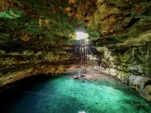 Friends Prints: Cenote Samula, Dzitnup near Valladolid, Yucatan State, Mexico