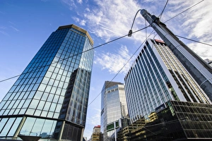 Wellington Prints: Central business district of Wellington, North Island, New Zealand, Pacific