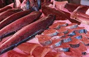 Salmon Prints: Central fish market, Torget, Bergen, Western Fjords, Norway, Scandinavia, Europe