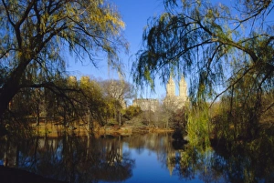 Central Park Prints: Central Park