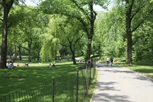 Images Dated 25th May 2009: Central Park, Manhattan, New York City, New York, United States of America, North America