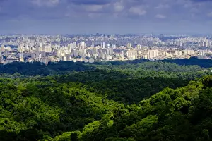Typically Brazilian Prints: Central Sao Paulo from the rainforest of the Serra da Cantareira State Park, Brazil