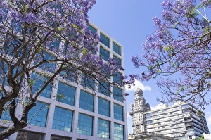 Town Centre Prints: Centre of town and Palacio Salvo, Montevideo, Uruguay, South America