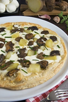 Lunch Prints: Ceps or Porcini Mushroom pizza (Boletus edulis), Italy, Europe