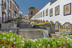 Local Flora Prints: Ceramic benches by water stairs Paseo de Canarias