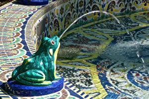 Fountains Prints: Ceramic frog spitting out water