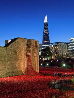 London Gallery: Ceramic poppies forming the installation Blood Swept Lands and Seas of Red to remember the Dead of