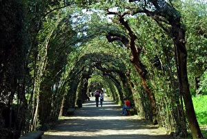 Walk Prints: Cerchiata Grande, Boboli Gardens, Florence, Tuscany, Italy, Europe