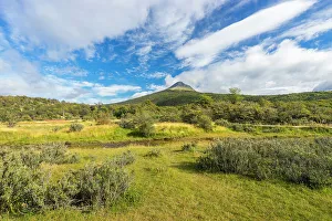 Meadow Prints: Cerro Condor, Tierra del Fuego National Park, Patagonia, Argentina, South America