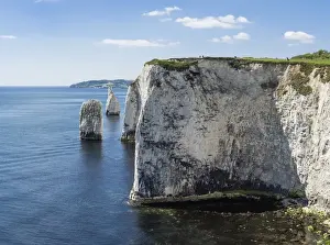Chalk Prints: The Chalk cliffs of Ballard Down with The Pinnacles Stack and Stump in Swanage Bay