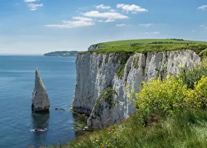 Sea Stack Gallery: The Chalk cliffs of Ballard Down with The Pinnacles Stack in Swanage Bay, near Handfast Point