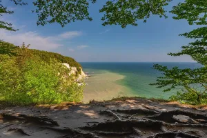 Cliffside Prints: Chalk cliffs, Jasmund National Park