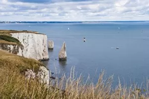 Images Dated 25th July 2010: Chalk stacks and cliffs at Old Harry Rocks, between Swanage and Purbeck, Dorset, Jurassic Coast