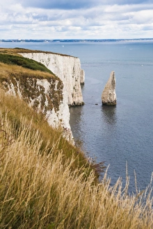 Chalk stacks and cliffs at Old Harry Rocks, between Swanage and Purbeck, Dorset, Jurassic Coast, UNESCO World Heritage Site, England, United Kingdom, Europe