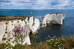Chalk stacks and cliffs at Old Harry Rocks, between Swanage and Purbeck, Dorset, Jurassic Coast, UNESCO World Heritage Site, England, United Kingdom, Europe
