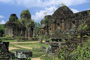 Over Grown Prints: Cham ruins, My Son, UNESCO World Heritage Site