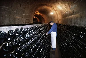 Images Dated 30th July 2008: Champagne wine cellar, Reims, Champagne, Ardennes, France, Europe