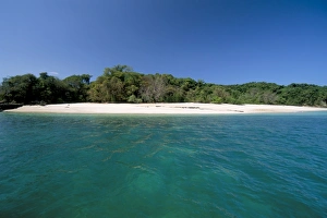 Panamanian Prints: Chapera island
