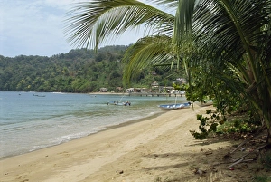 Tobago Prints: Charlotteville