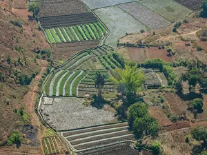 Ecology Prints: Charter flight over terraced farmlands in Madagascar showcases rich agricultural landscapes