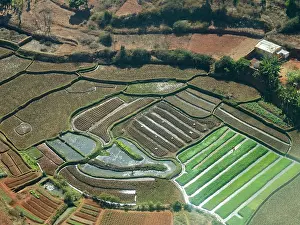 Farmer Prints: Charter flight over terraced farmlands near Isalo National Airport in Madagascar