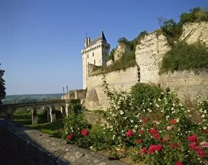 Images Dated 17th November 2008: Chateau de Chinon, Indre-et-Loire, Loire Valley, France, Europe