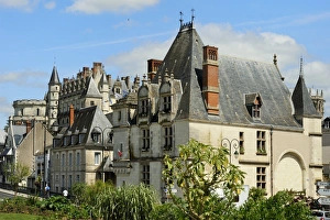 Chateau Prints: Chateau d Amboise and town buildings