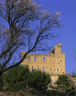 Chateau Prints: Chateau des Papes, Chateauneuf-du-Pape, Vaucluse, Provence, France, Europe