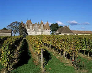 French Culture Gallery: Chateau de Monbazillac and vineyard near Bergerac, Dordogne, Aquitaine, France, Europe
