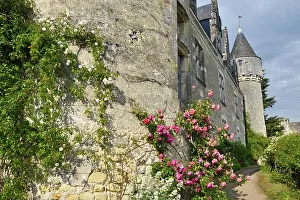 Chateau Prints: Chateau of Montresor, Touraine