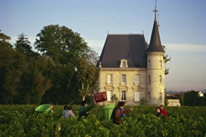 Chateaux Prints: Chateau Pichon Longueville, Medoc, Pauillac, Aquitaine, France, Europe