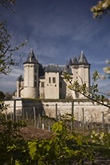Saumur Prints: Chateau de Saumur, UNESCO World Heritage Site