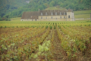 Chateau Vougeot, Cote d Or, Burgundy, France, Europe