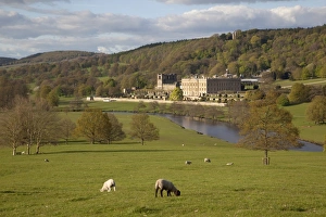 Stately Homes Prints: Chatsworth House, Chatsworth Estate, Derbyshire, England, United Kingdom, Europe
