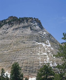 Zion Prints: Checkerboard Mesa in the Zion National Park in Utah