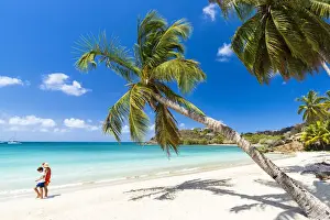 Mid Adults Prints: Cheerful little boy with mother walking on idyllic palm fringed beach