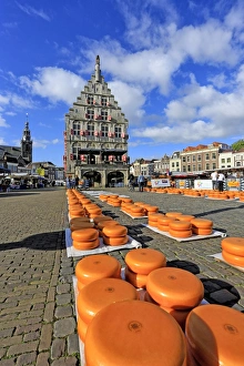 Freshness Prints: Cheese Market in Gouda, South Holland, Netherlands, Europe