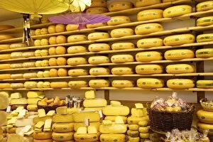 Images Dated 24th August 2010: Cheese shop, Alkmaar, Holland, Europe
