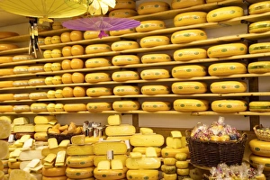 Images Dated 24th August 2010: Cheese shop, Alkmaar, Holland, Europe