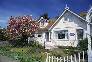 Vancouver Island Prints: Chemainus Bed & Breakfast house and garden with flowering cherry tree on Vancouver Island