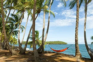 Coastal Views Prints: Chemin de la Pointe des Cayes, Ile Royale