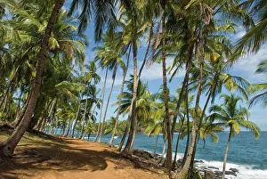 Outdoor Exploration Prints: Chemin de la Pointe des Cayes, Ile Royale