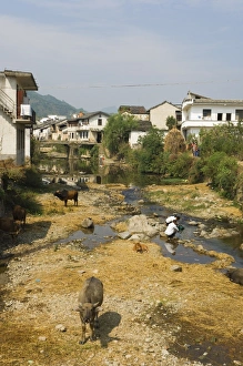 Cheng Kan Prints: Cheng Kan Village, Anhui Province, China, Asia