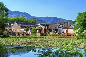 Lotus Prints: Chengkan Ancient Village, Huangshan City, Anhui, China
